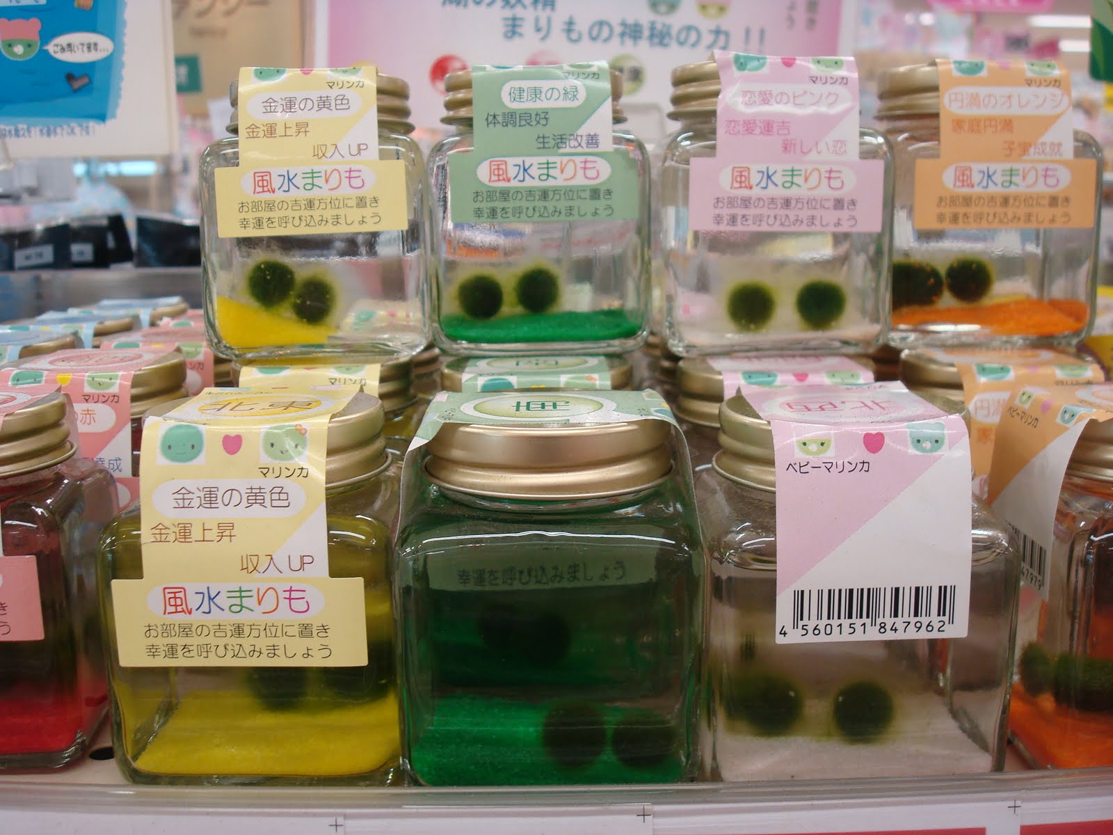 Japan 13 The Epic Post Crepes Cicadas And Cocktails