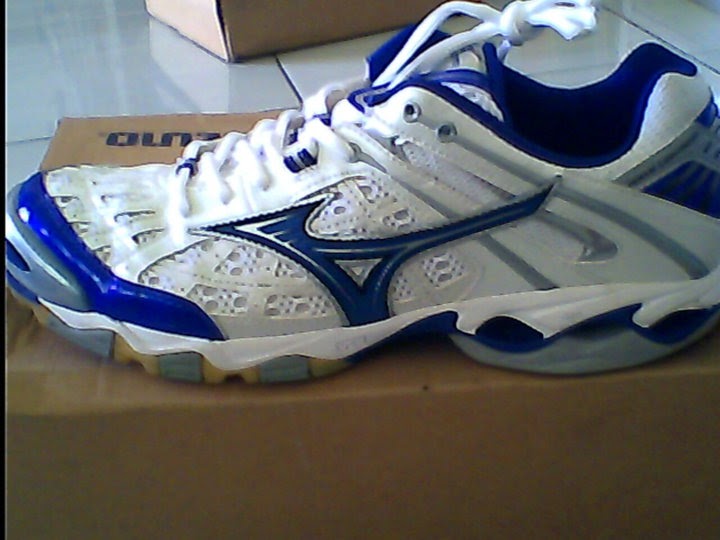 Кроссовки Mizuno Wave Hayate 4