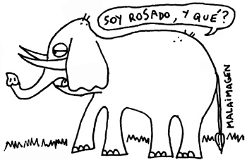 [elefanterosado.jpg]