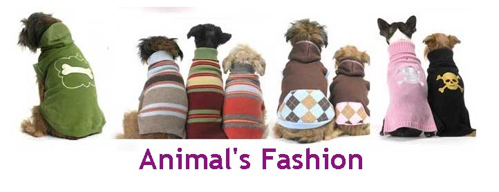 Animal's fashion