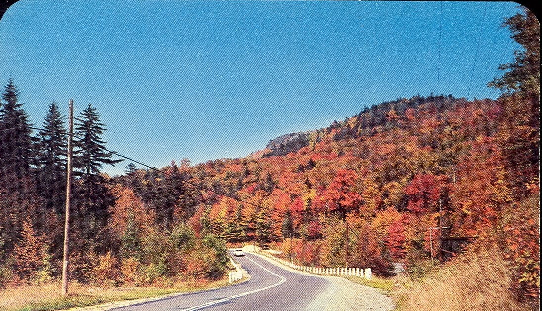 Vintage Travel Postcards Eagle Bay, New York