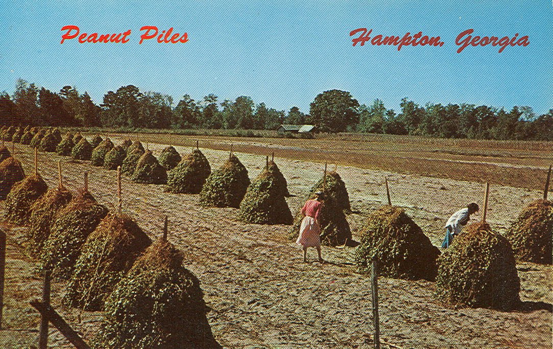 Vintage Travel Postcards Hampton,