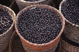 açai