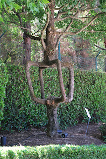 monuments, miracles & mega folk fauna: Fancy Trees