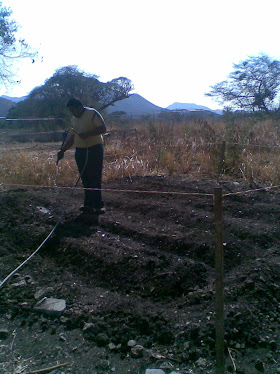 Nuestro Huerto escolar