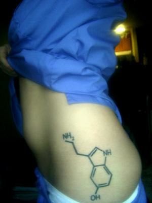 [serotonin.jpg]