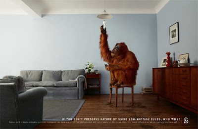 Astonishing Animal Advertisements Creating Awareness edf freo Astonishing Animal Advertisements Creating Awareness