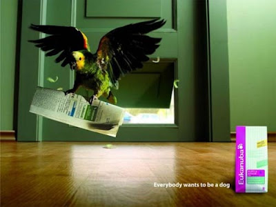Astonishing Animal Advertisements Creating Awareness eukanuba1 Astonishing Animal Advertisements Creating Awareness