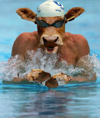 Top Ten Movie Sex Scenes Tied Up Sex Photos