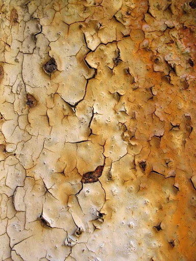 Free Rust Textures Every Designer Must Have Stock Photography Resource
