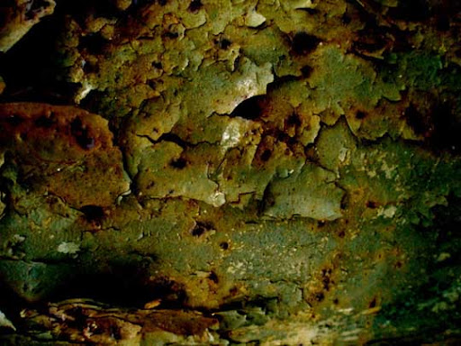 Free Rust Textures Every Designer Must Have Stock Photography Resource