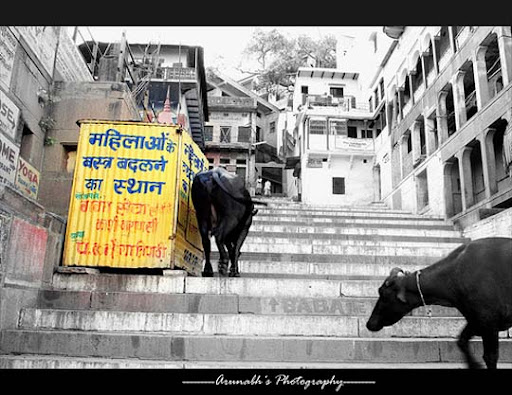 Ghats of varanasi Ghats+of+varanasi The Incredible India: 90 Spectacular Photos