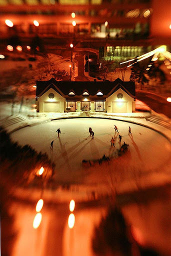 Shinny Hockey