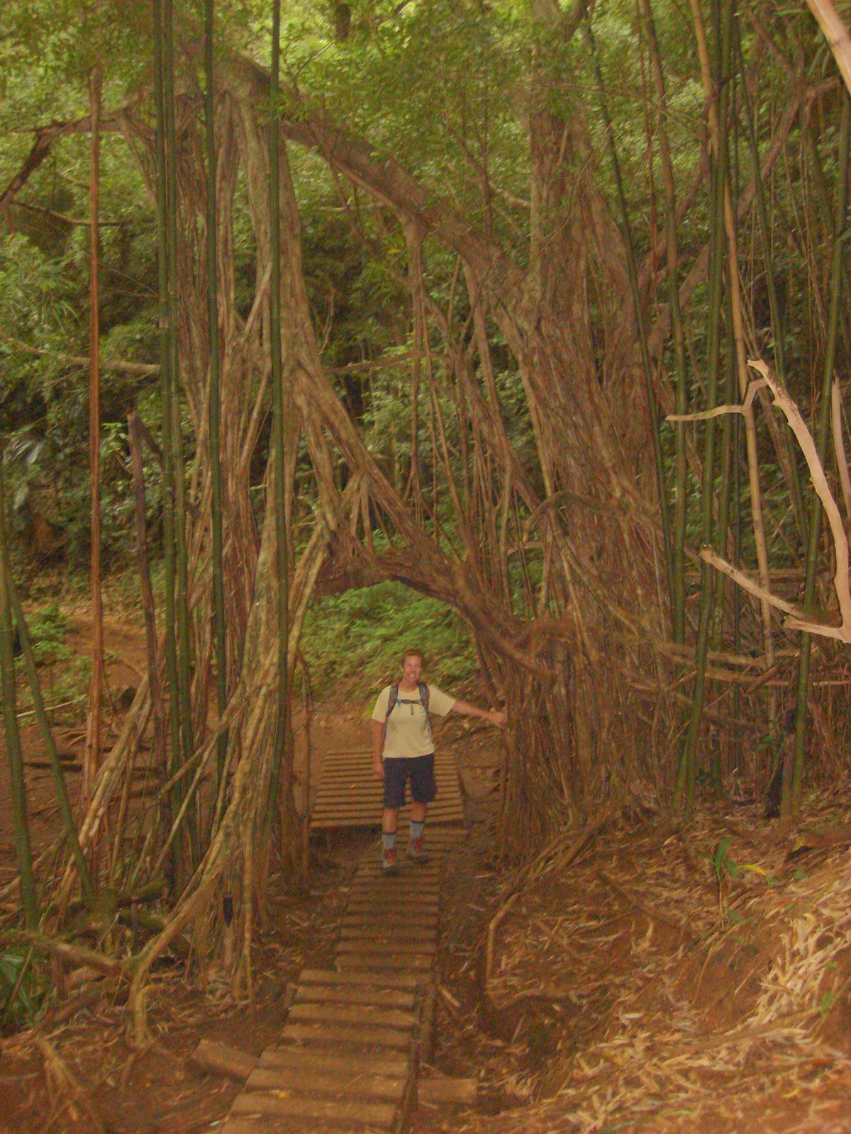 [DSC05405.JPG]