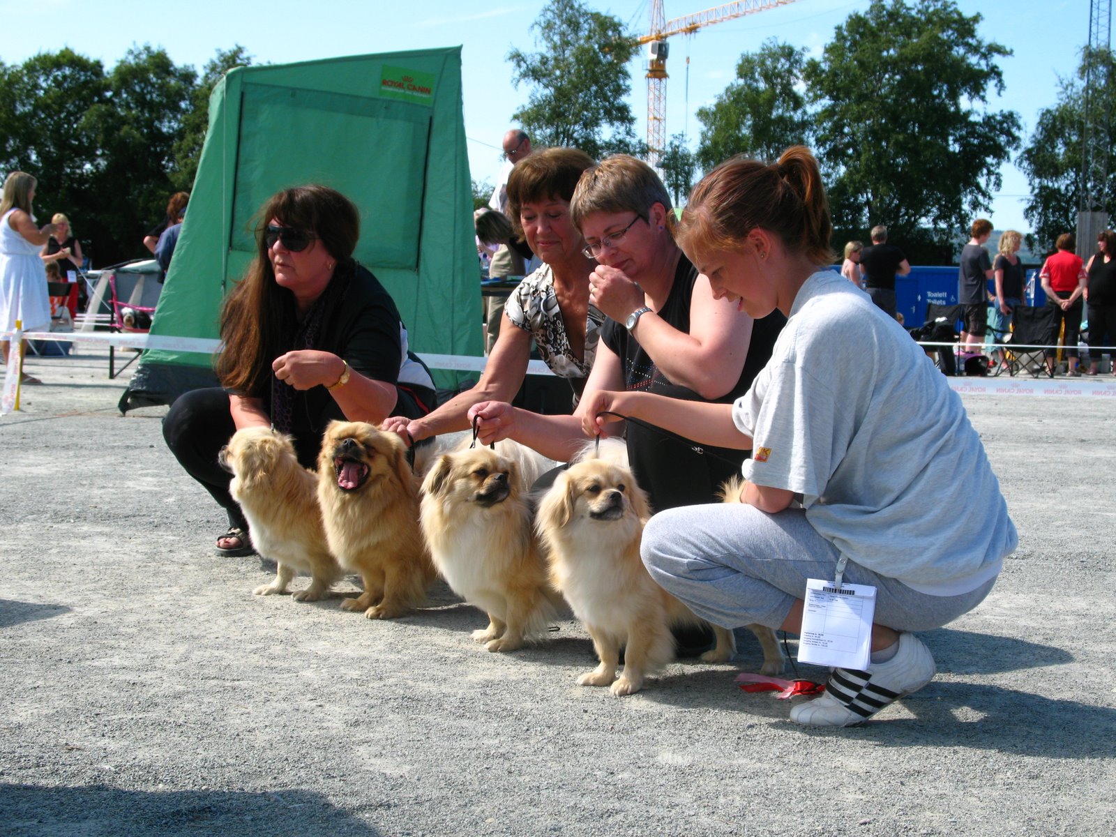 [IMG_3092.JPG]