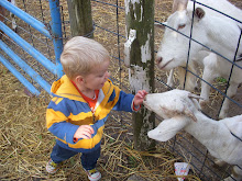 Feeding the goats at the pumpkin patch!