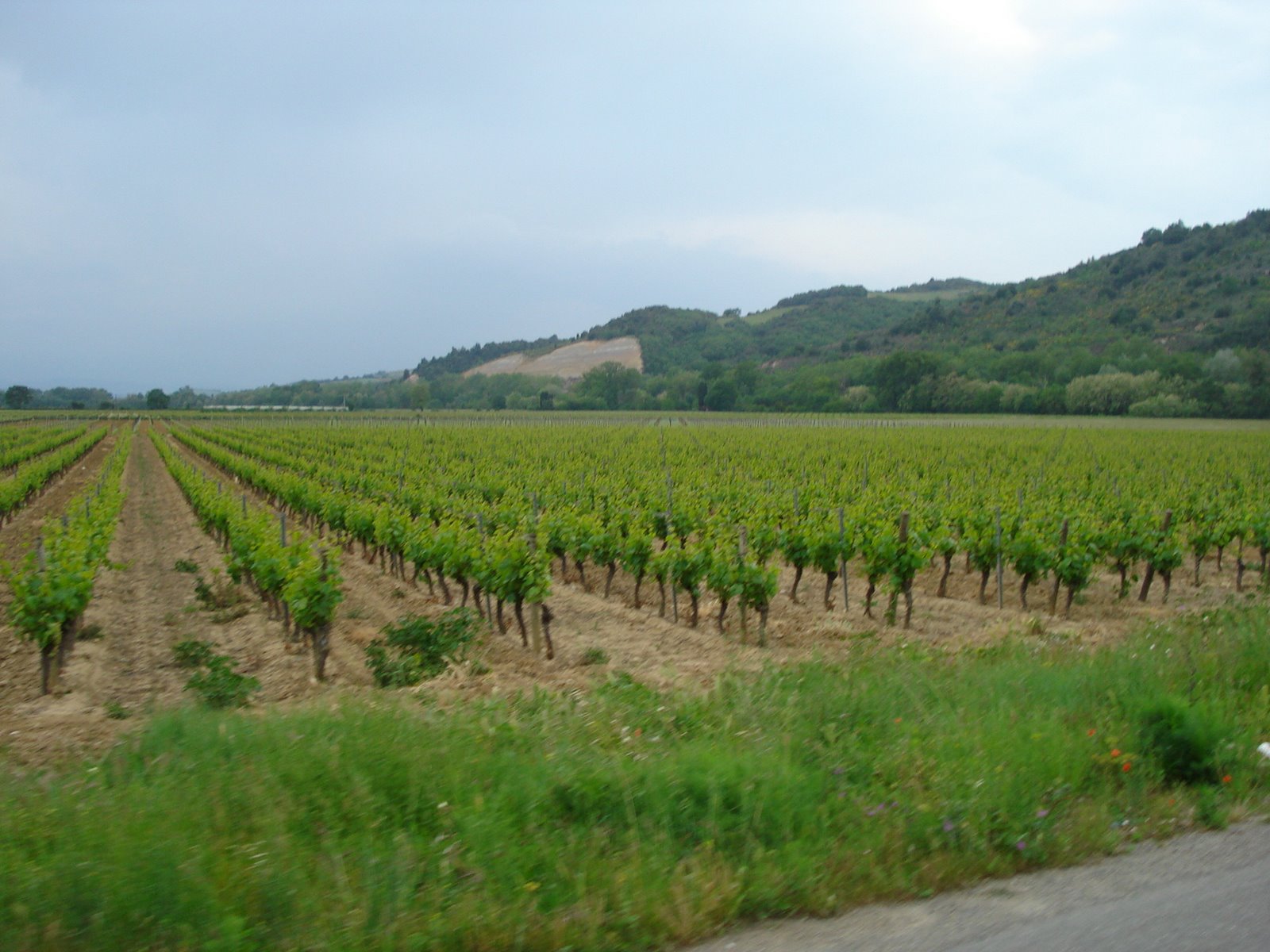 [DSC00854.JPG]