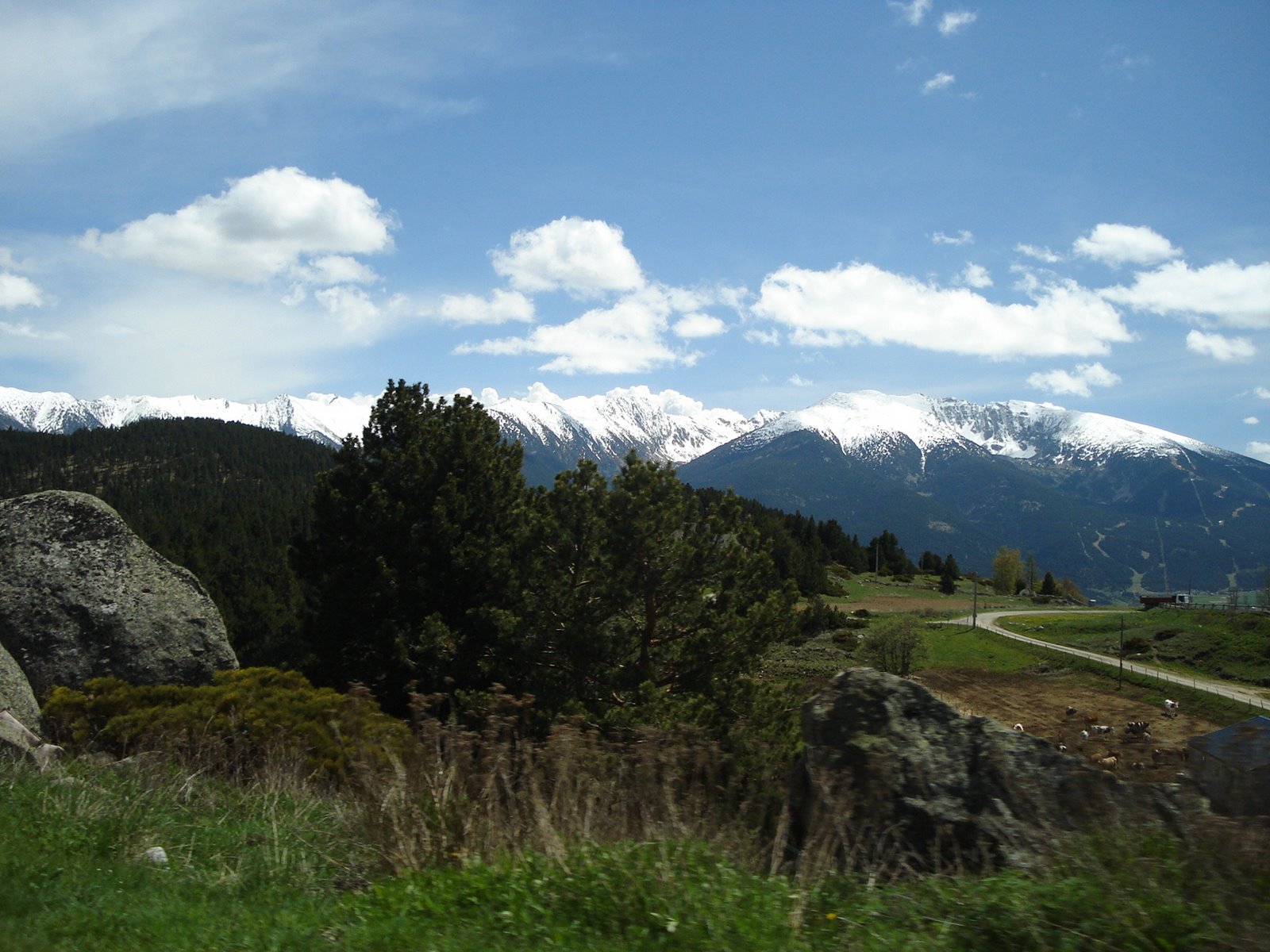 [DSC00958.JPG]