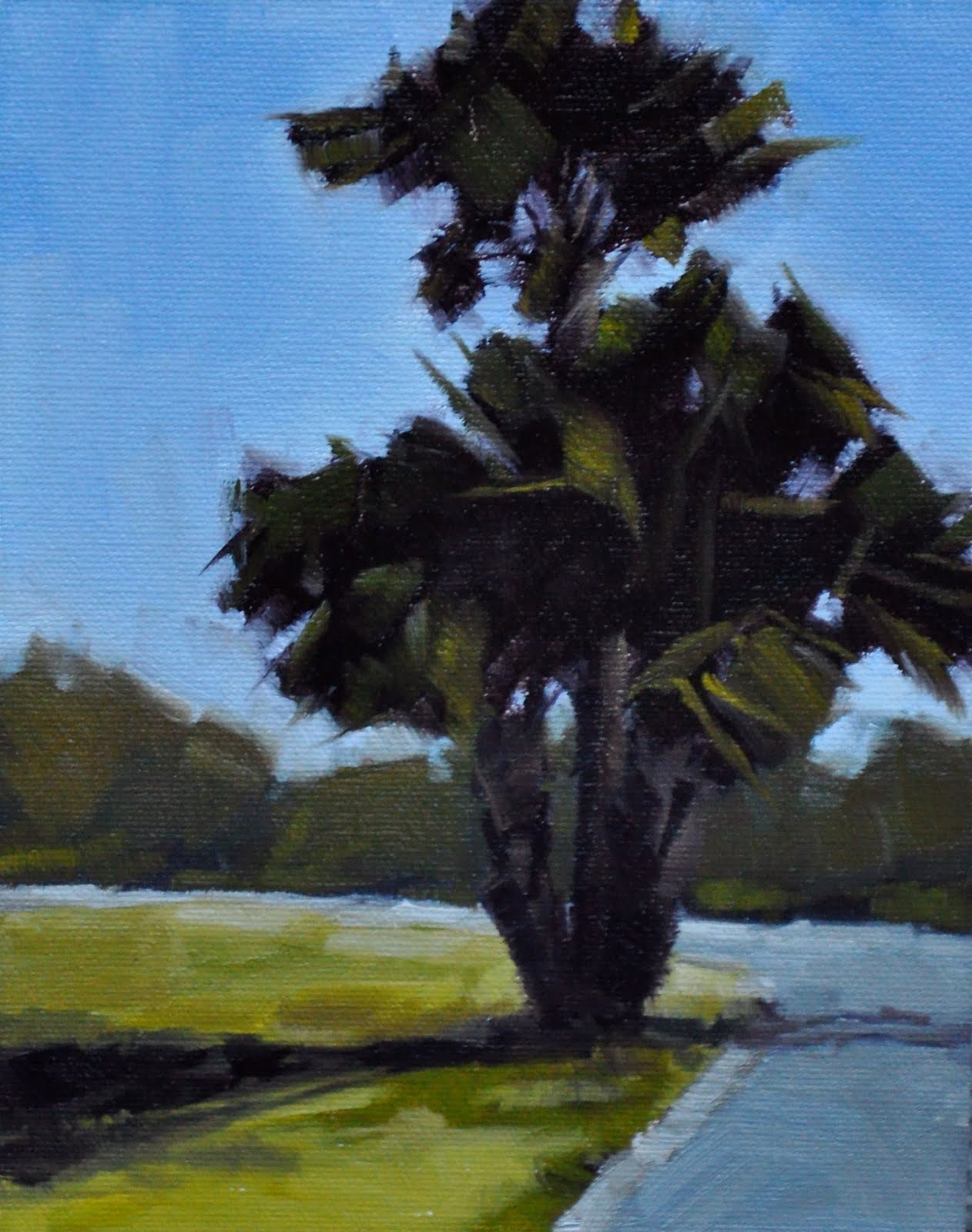 [Palm+Tree+Study.med.jpg]