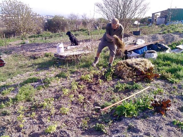 ill put tbh meaning short