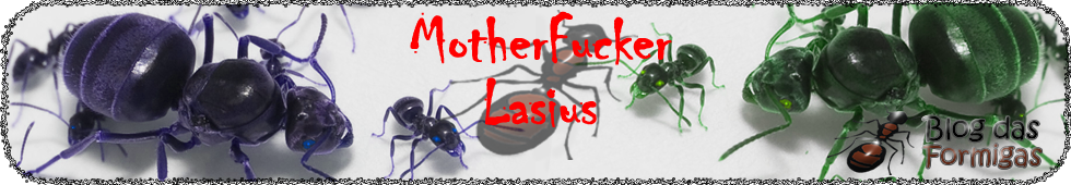 MotherFucker Lasius