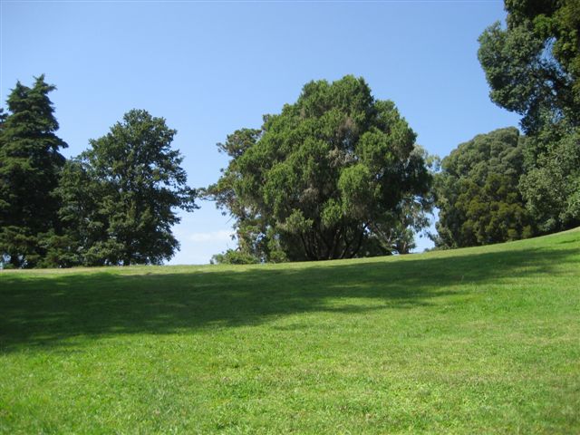 [IMG_5722.JPG]