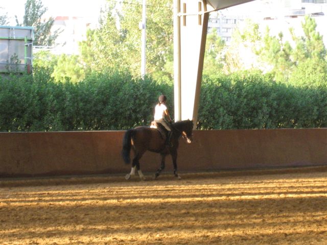 [IMG_6091.JPG]