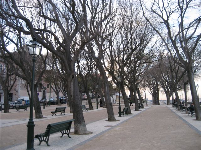 [IMG_6699.JPG]