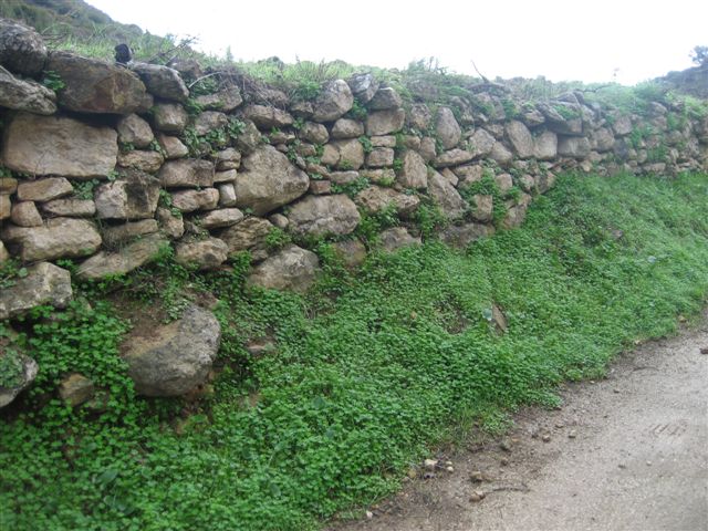 [IMG_6973.JPG]