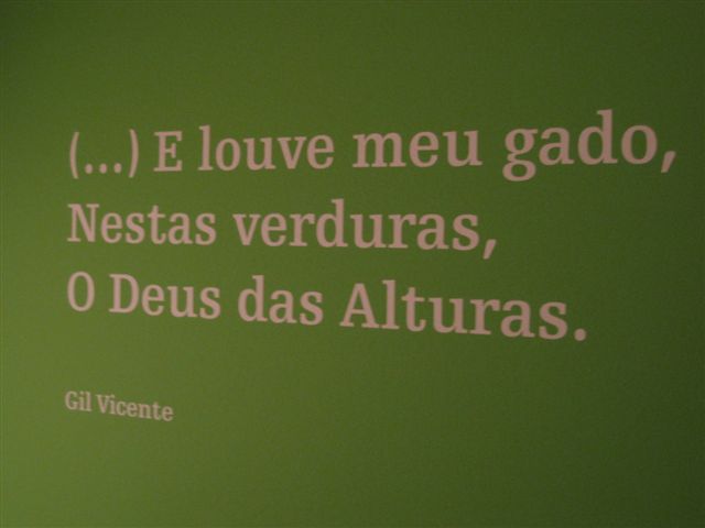 [IMG_6792.JPG]