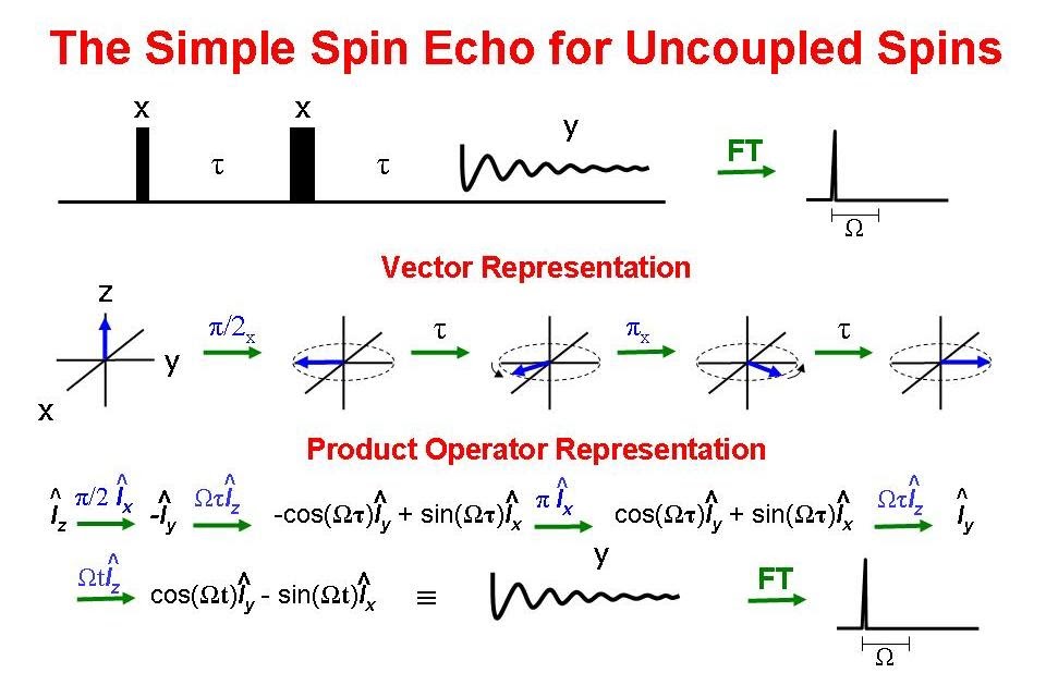 University of Ottawa NMR Facility Blog Spin Echos for Uncoupled Spins