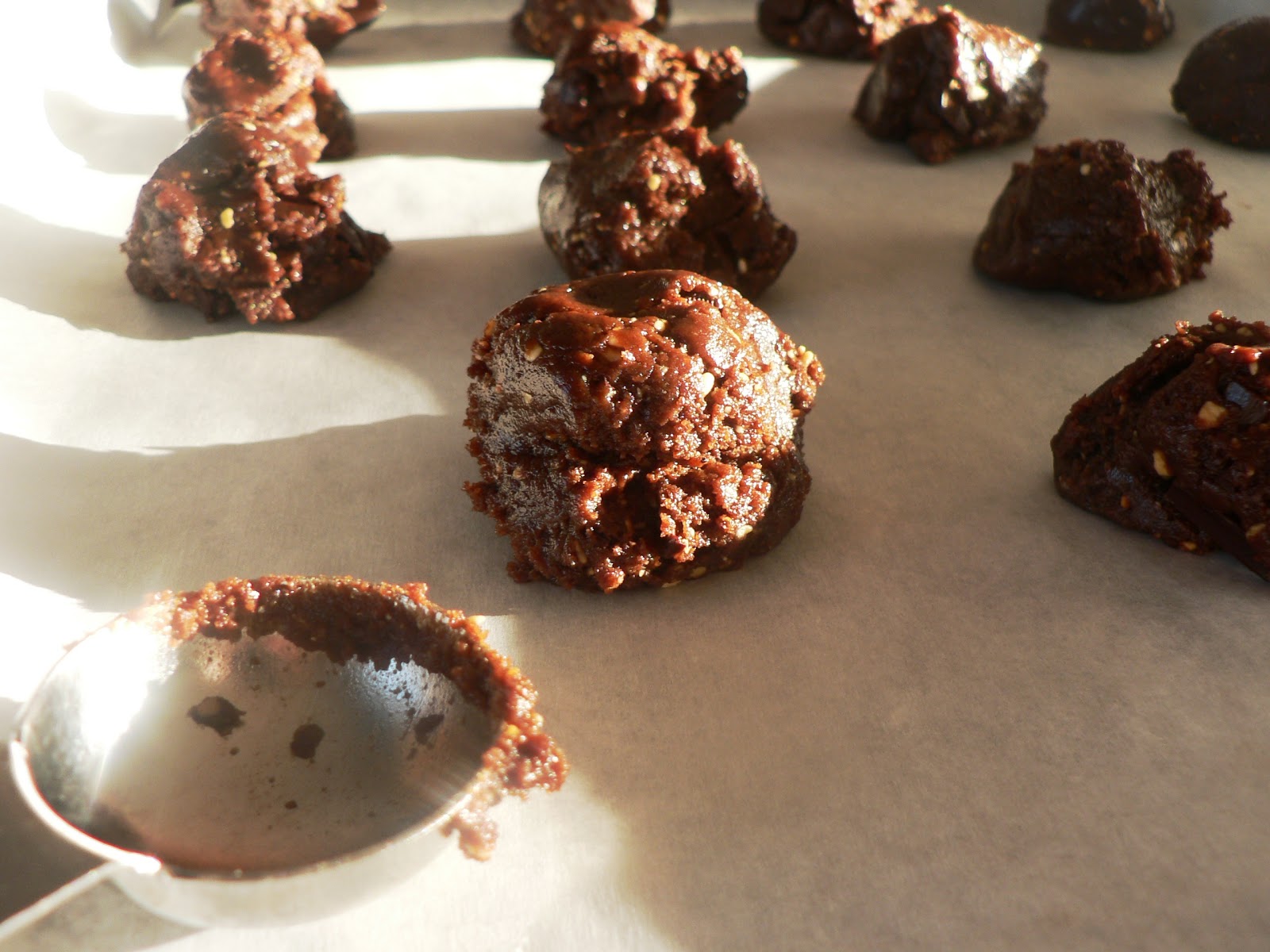 Low GI Peanut Butter Chocolate Cookies