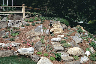 A Rock Garden to Celebrate Spring (and a Wedding) - Design Kebun