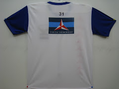 Kaos Partai