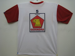 Kaos Partai