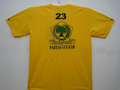 Kaos Partai