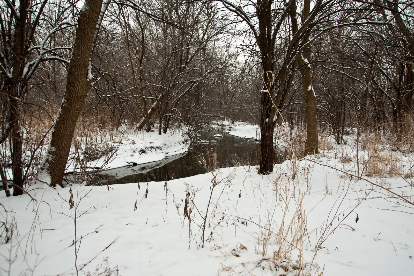 Shot of the Day Naperville Winter Walk