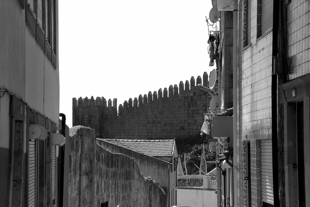 [FOL_5710a+[1024x768].JPG]