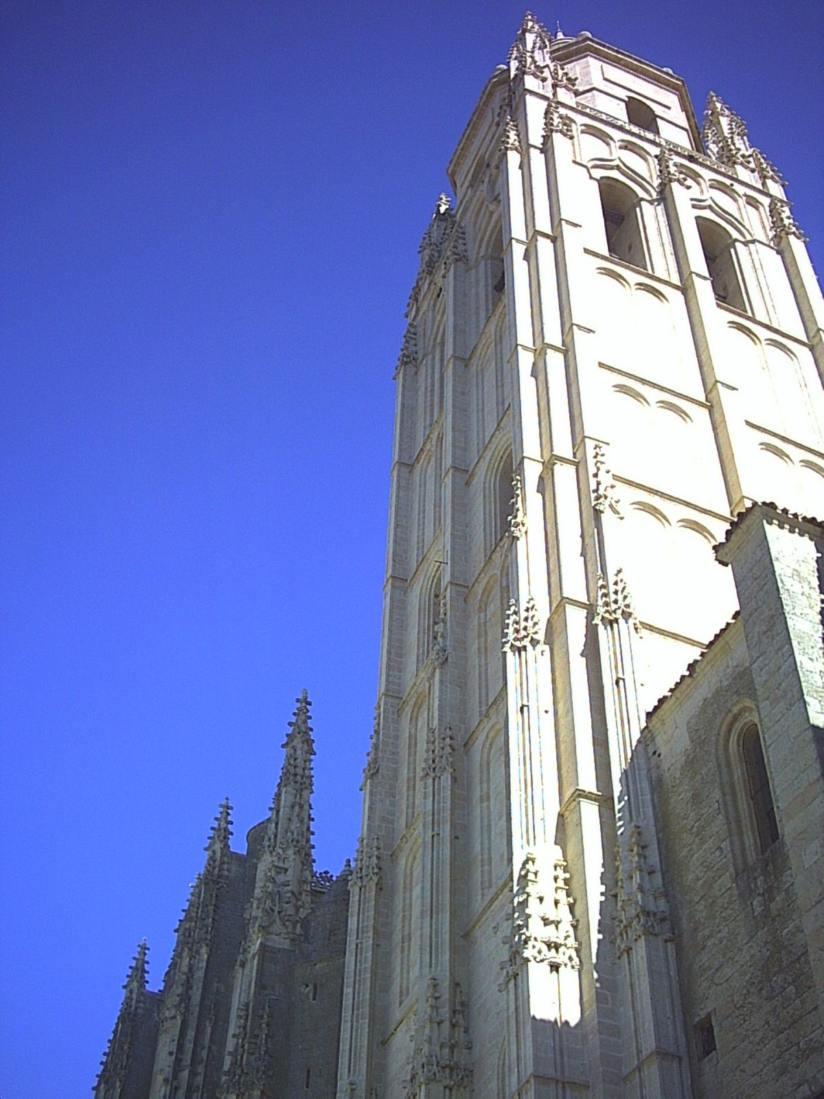 [PICT0046.JPG]