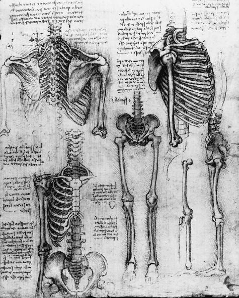 Leonardo Da Vinci, the true Leonardo Da Vinci, the true