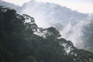 Montreverde