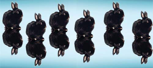 [headerExclusive.jpg]