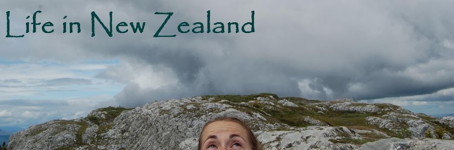 Life in New Zealand