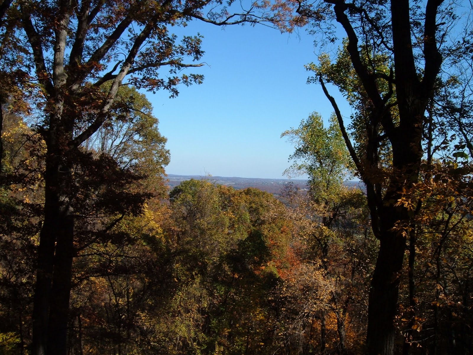 Twisted Knickers Hunting Camp 18th Annual Squirrel Hunt