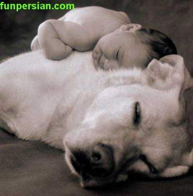 [normal_cvvvvv61.jpg]