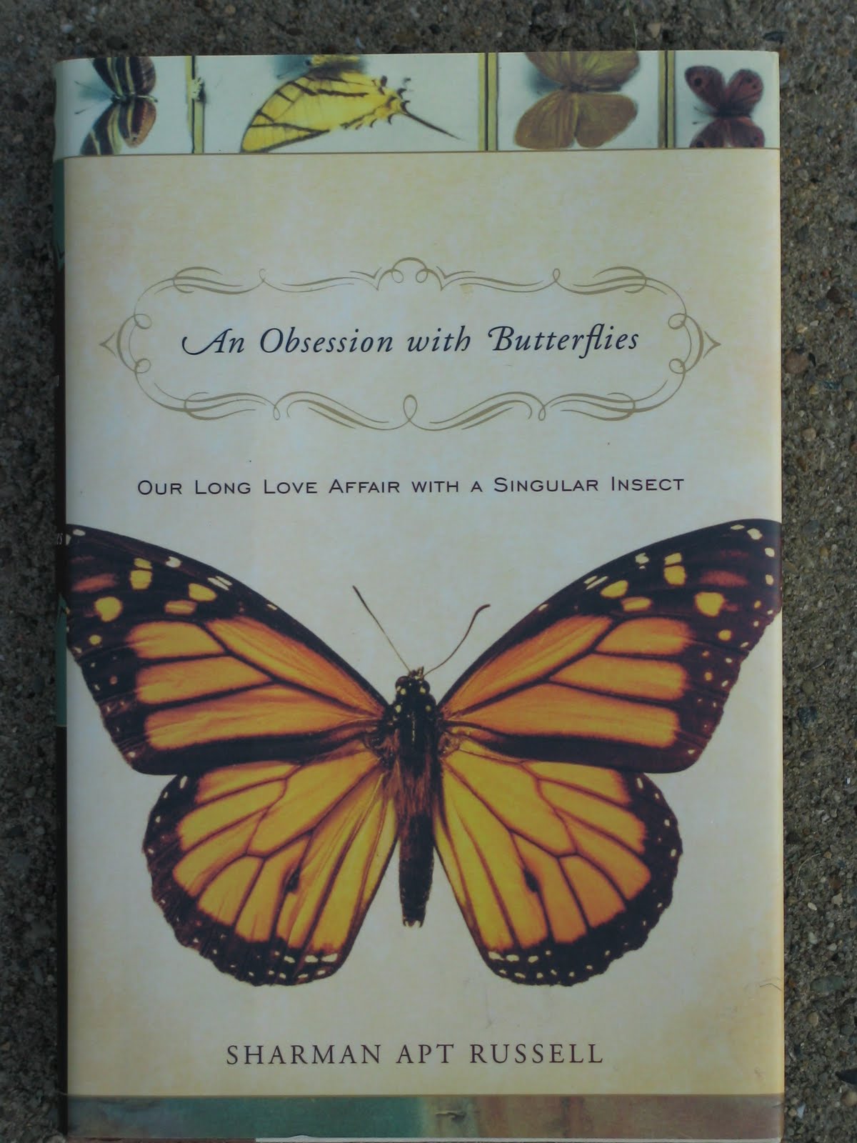 Butterfly Jungle Butterfly Books