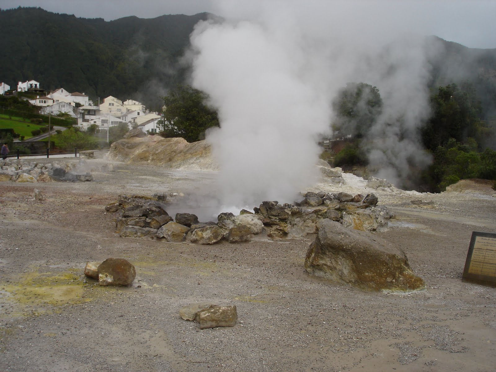 [DSC04567.JPG]
