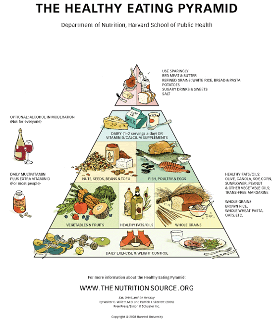Healthy+food+pyramid+for+teenagers