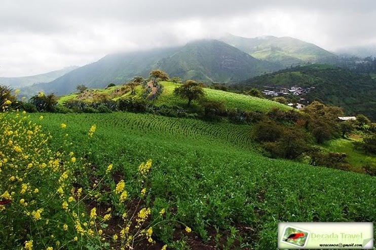 MUSICA DE CAJAMARCA musica de cajamarca:
