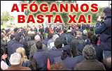 [programa24F.gif]